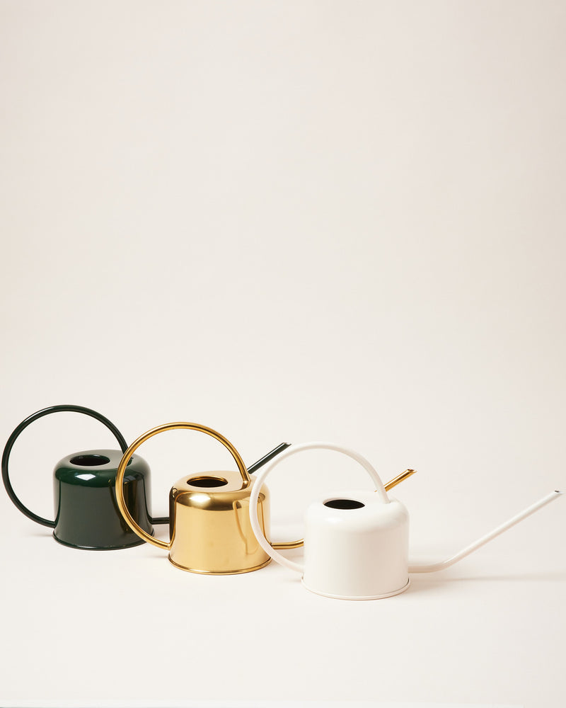 Loopy Watering Can