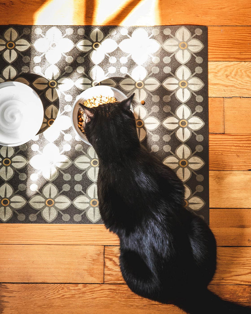 Vintage Vinyl Pet Mat