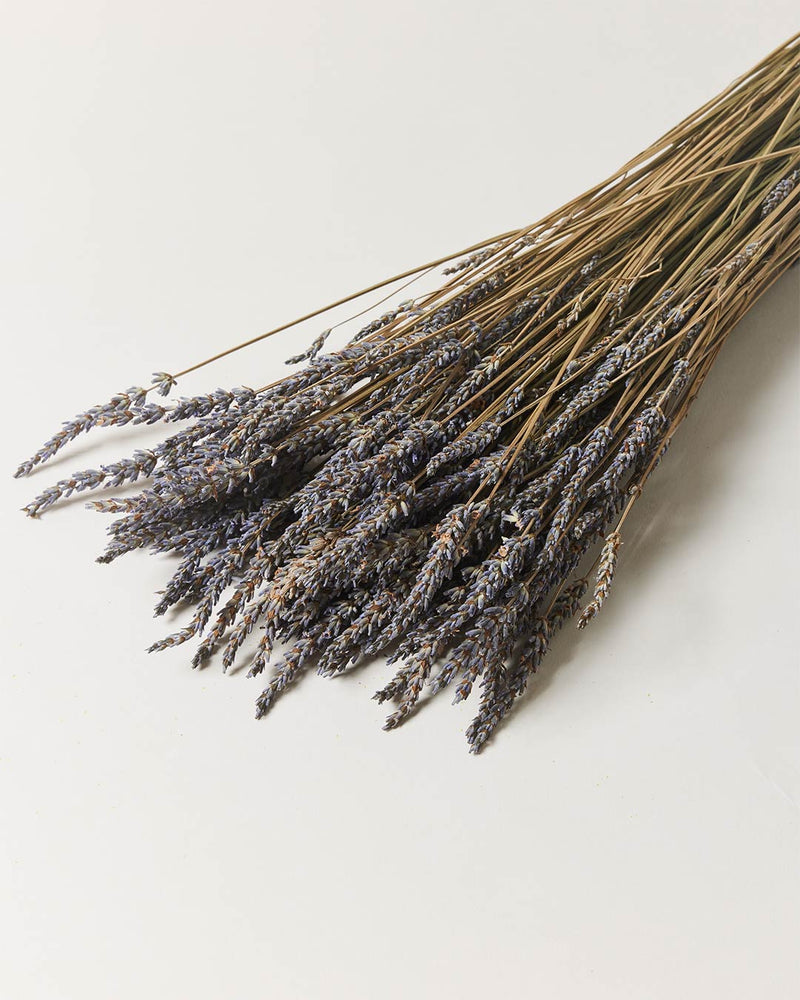 Harvested Lavender