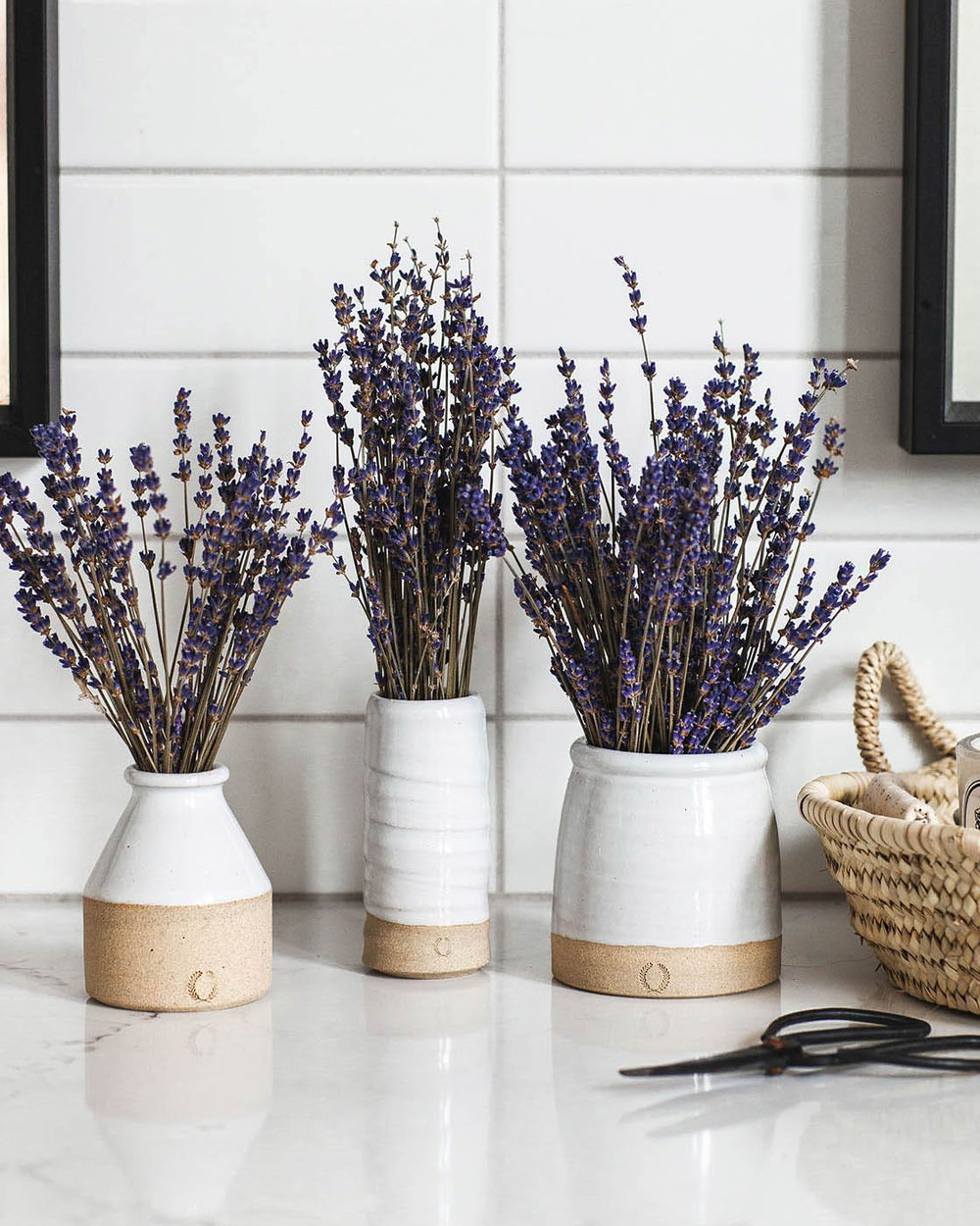 Harvested Lavender