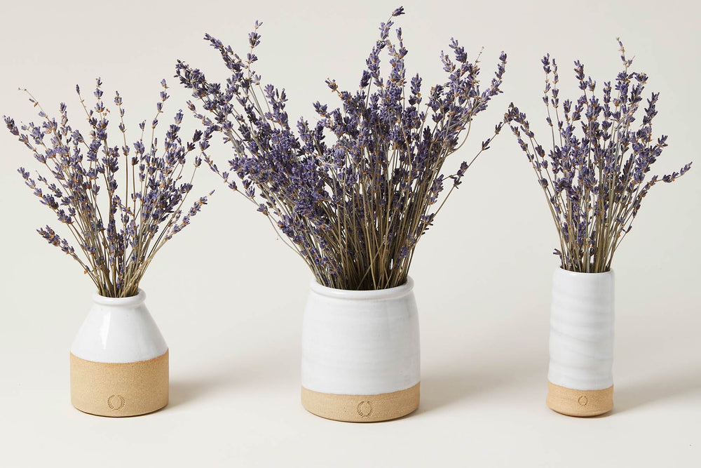 Lavender Vase Set