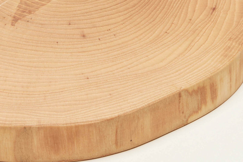 Ash Wood Slice