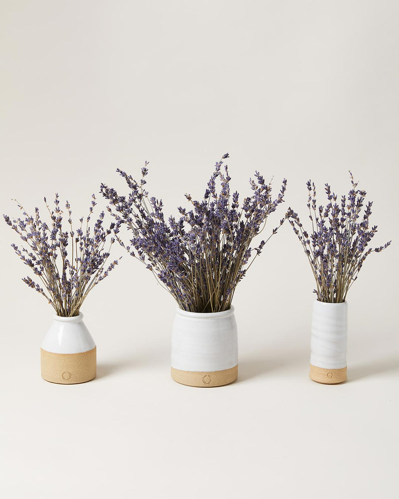 Lavender Vase Set