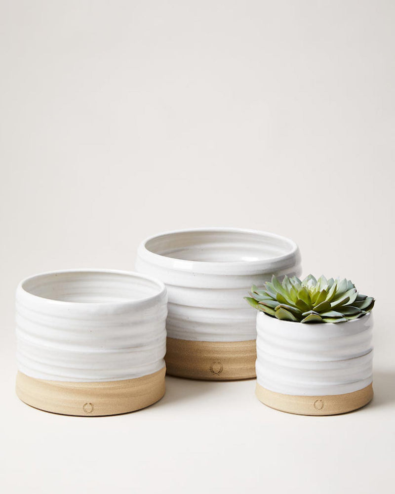 Trunk Garden Pot
